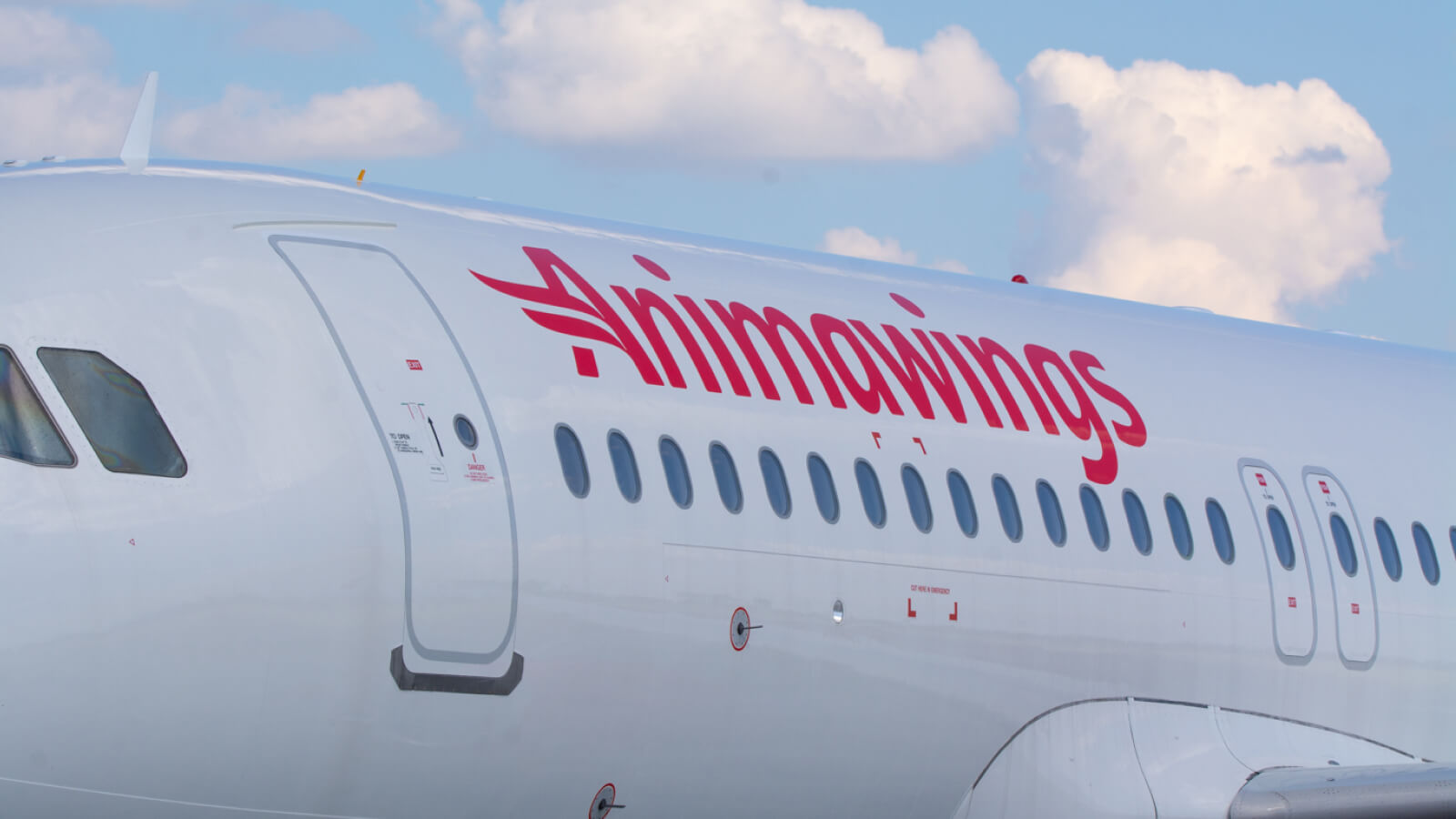 Romania's Animawings joins Hitit’s Community