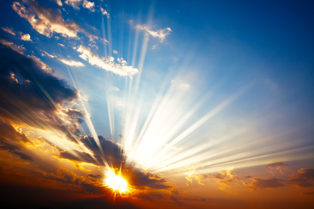 Solidarity and unconditional support: The true essence of cooperation 