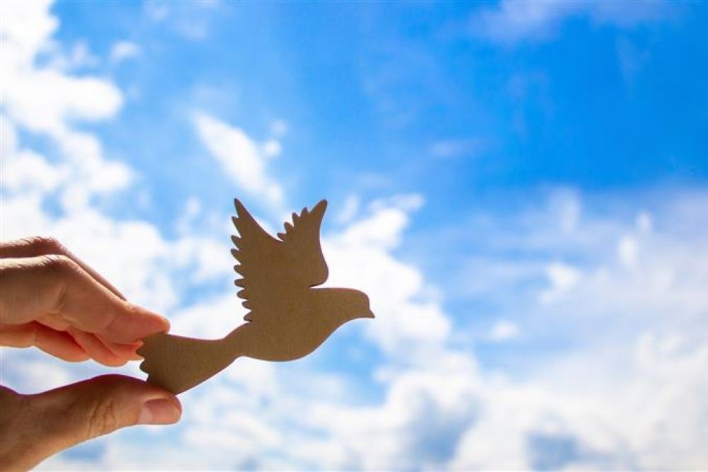 2025 in Review: Breathing Stronger Together
