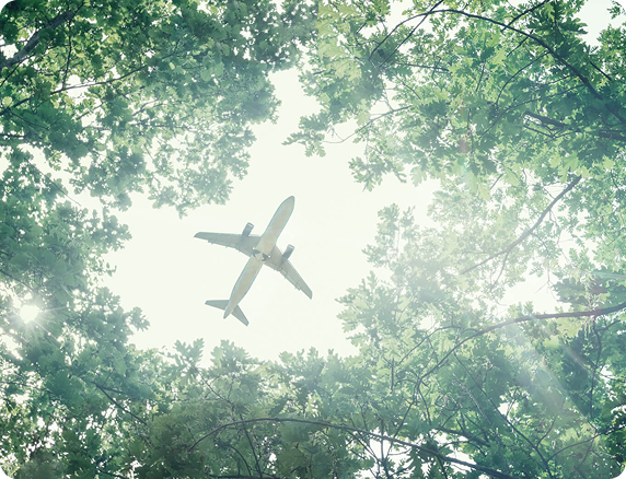 Environment
