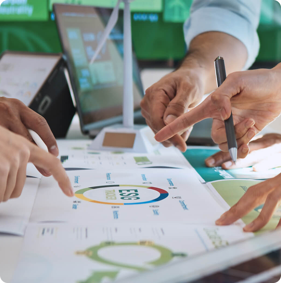 Sustainability Strategy